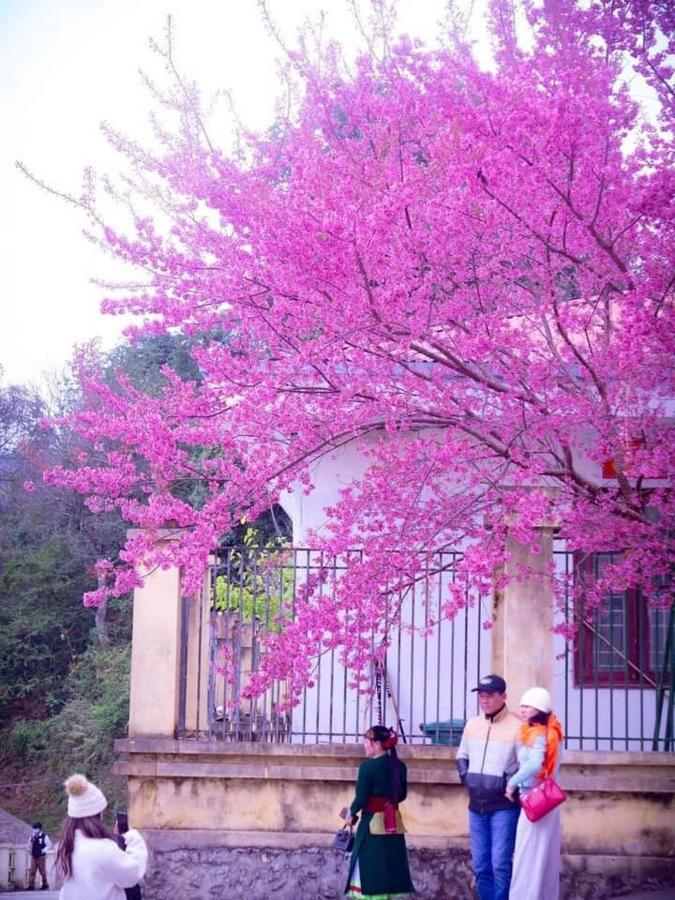 Nha Nghi T&T Dong Van (Ha Giang) Exterior foto