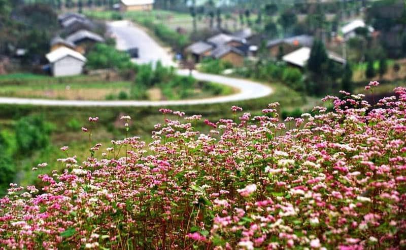 Nha Nghi T&T Dong Van (Ha Giang) Exterior foto