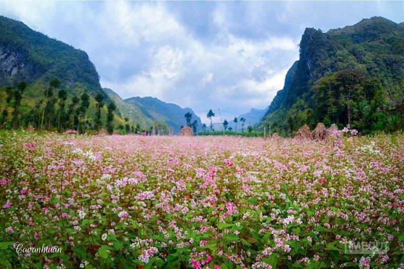 Nha Nghi T&T Dong Van (Ha Giang) Exterior foto